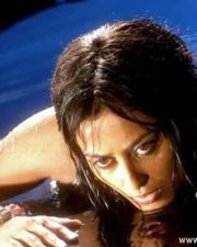 Actress Nidhi Subbaiah Sexy Pictures 14