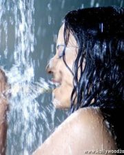 Actress Nidhi Subbaiah Sexy Pictures 16