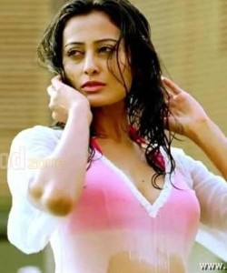 Actress Nidhi Subbaiah Sexy Pictures 32