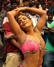 Actress Parul Yadav Hot Photos 02 Actress Parul Yadav Hot Photos 02
