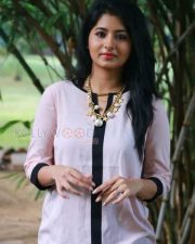 Actress Reshmi Menon New Stills 08