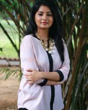 Actress Reshmi Menon New Stills 13
