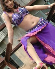 Actress Sheela Sexy Photos 02