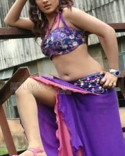 Actress Sheela Sexy Photos 07