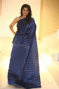 Actress Sheetal Bhatt at Gandharwa Movie Pre Release Event Photos 22