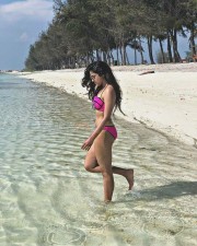 Actress Siddhi Idnani Candid Photos 14 Actress Siddhi Idnani Candid Photos 14