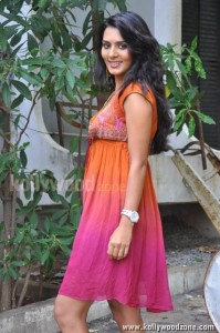 Actress Sindhu Loknath Sexy Photos 15