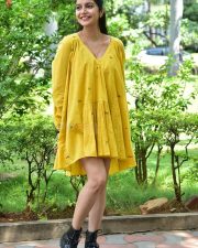 Actress Swathi Reddy at Month Of Madhu Success Meet Photos 01