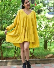 Actress Swathi Reddy at Month Of Madhu Success Meet Photos 03