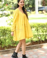 Actress Swathi Reddy at Month Of Madhu Success Meet Photos 15