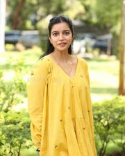 Actress Swathi Reddy at Month Of Madhu Success Meet Photos 20