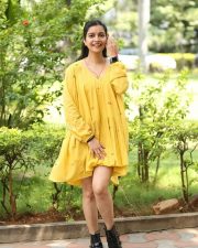 Actress Swathi Reddy at Month Of Madhu Success Meet Photos 23