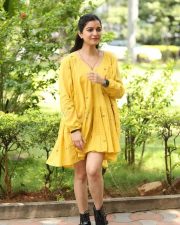Actress Swathi Reddy at Month Of Madhu Success Meet Photos 24