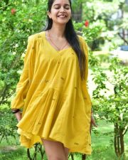 Actress Swathi Reddy at Month Of Madhu Success Meet Photos 32