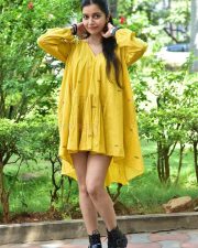 Actress Swathi Reddy at Month Of Madhu Success Meet Photos 33