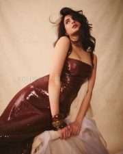 Alluring Actress Palak Tiwari in a Brown Sequined Bodycon Dress Photos 02