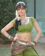 Anitha Stills 58