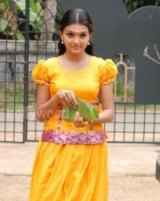 Arundhathi Vettai Heroine Saranya Mohan Stills 32