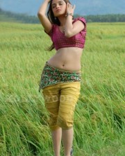 Beautiful Actress Sheena Shabandi Stills40