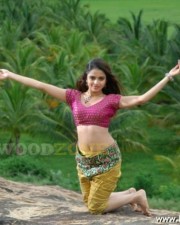 Beautiful Actress Sheena Shabandi Stills50