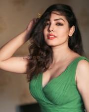 Beautiful Komal Jha in a Green V Neck Dress Photos 07