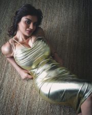 Big Busted Anveshi Jain in a Golden Metallic Dress Photos 04 Big Busted Anveshi Jain in a Golden Metallic Dress Photos 04