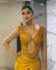 Dons and Darlings Actress Akanksha Puri in a Mustard Yellow One Shoulder Corset Style Top Pictures 04