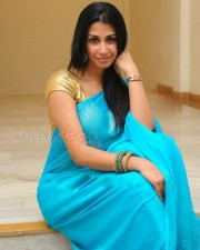 Gayathiri Iyer Sexy Saree Pictures 04