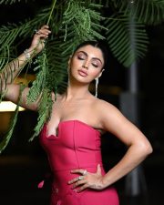 Glamorous Akanksha Puri in a Pink Strapless Gown at Zee Cine Awards Photos 03