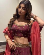 Glamorous Akanksha Puri in a Red Traditional Lehenga Pictures 02 Glamorous Akanksha Puri in a Red Traditional Lehenga Pictures 02