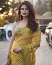 Gorgeous Aaditi Pohankar Saree Photos 02
