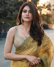 Gorgeous Aaditi Pohankar Saree Photos 03