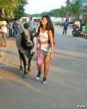 Heroine Monal Gajjar Pictures 01