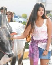 Heroine Monal Gajjar Pictures 27