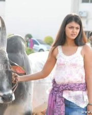 Heroine Monal Gajjar Pictures 28