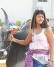 Heroine Monal Gajjar Pictures 29