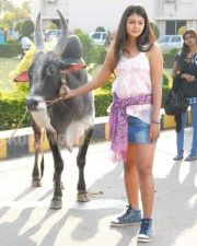 Heroine Monal Gajjar Pictures 30