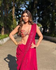 Hot Akanksha Puri in a Red Sequin Saree with a Strapless Bustier Blouse Pictures 01 Hot Akanksha Puri in a Red Sequin Saree with a Strapless Bustier Blouse Pictures 01