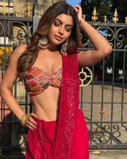 Hot Akanksha Puri in a Red Sequin Saree with a Strapless Bustier Blouse Pictures 04