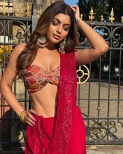 Hot Akanksha Puri in a Red Sequin Saree with a Strapless Bustier Blouse Pictures 04 Hot Akanksha Puri in a Red Sequin Saree with a Strapless Bustier Blouse Pictures 04