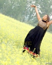 Madhu Sharma Gallery 04