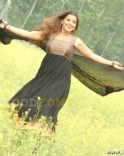 Madhu Sharma Gallery 05