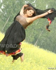 Madhu Sharma Gallery 11