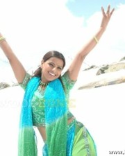 Madhu Sharma Gallery 36