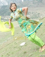 Madhu Sharma Gallery 37
