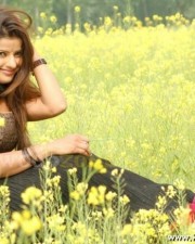 Madhu Sharma Gallery 41