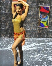 Madhu Sharma Hot And Spicy Pictures 07