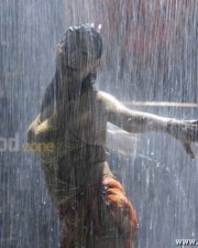 Madhu Sharma Hot And Spicy Pictures 28