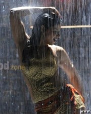 Madhu Sharma Hot And Spicy Pictures 29