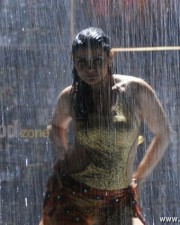 Madhu Sharma Hot And Spicy Pictures 30